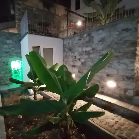 Madeira *